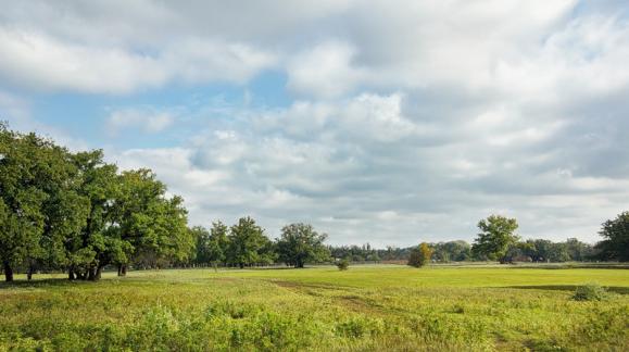 Фото родного края