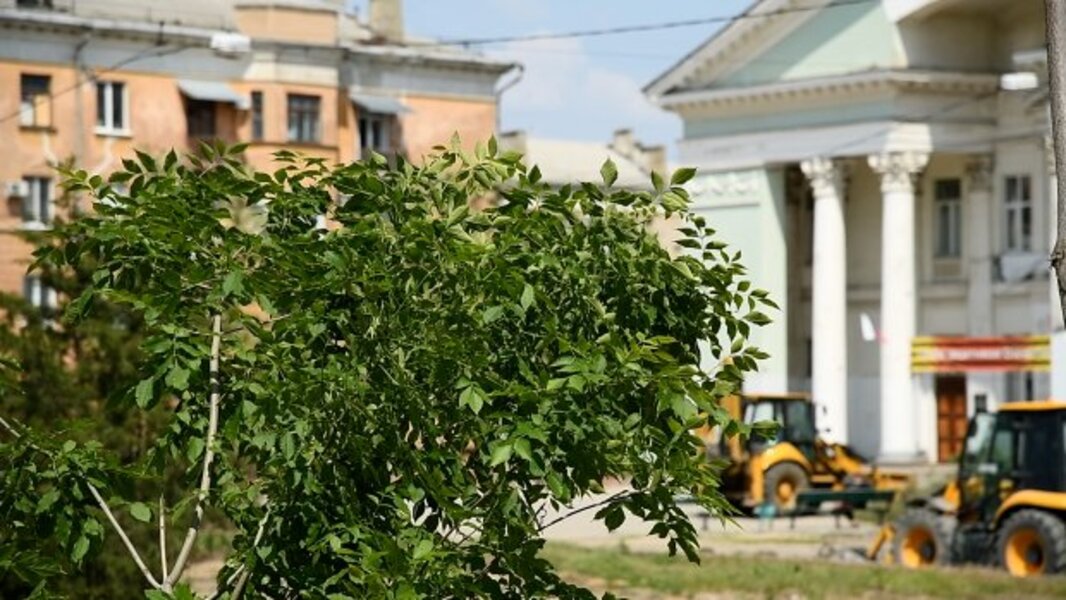 Правила благоустройства волгоград. Волгоград благоустройство улицы Дзержинского.