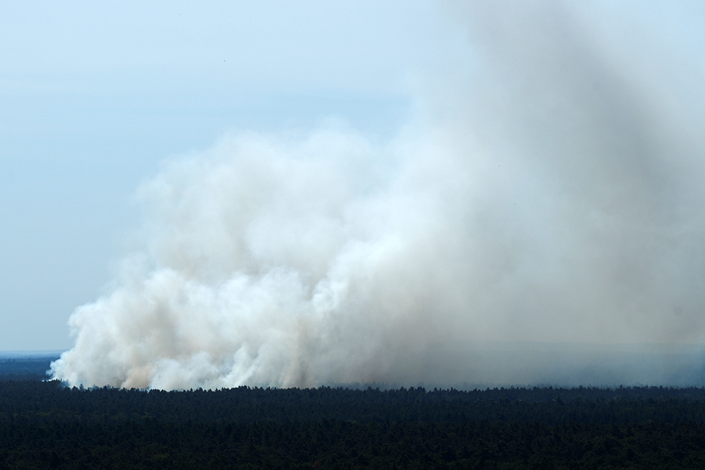 Берлинский лес Грюневальд загорелся из-за детонации полицейских боеприпасов. Image52476057_9db8cb0e1fc4c007131ec4294cf1e745