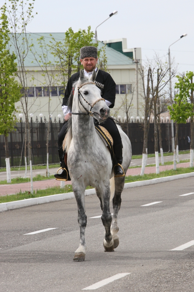 Фото коня кадырова