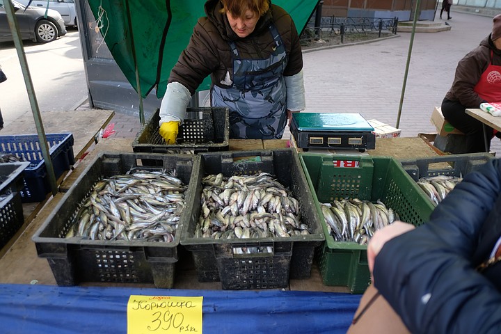 Петербуржцы не нашли корюшки в первый день уличной ...