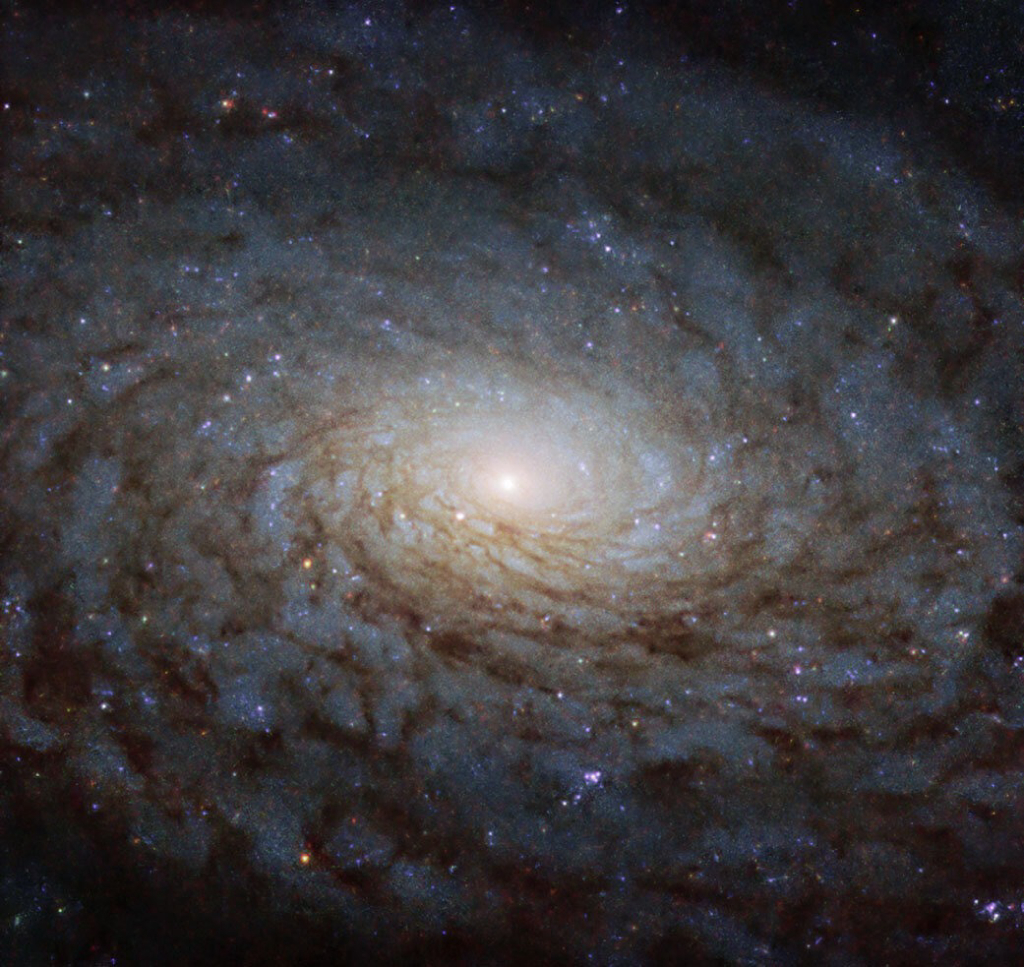 NGC 2787 Галактика