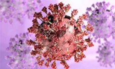 «Омикрон»: что известно о новом варианте коронавируса и как от него защититься?