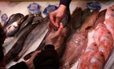 Россельхознадзор рассказал о фальсификации молока с помощью мела и гипса Россельхознадзор рассказал о фальсификации молока с помощью мела и гипса