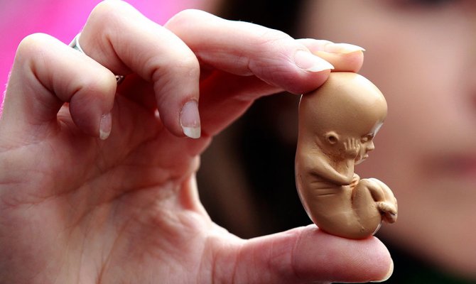 Ученые могут определять критический момент развития плода уже на стадии эмбриона