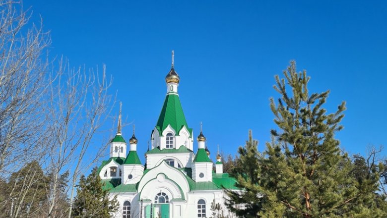 На фотографии представлена окаменелость обнаруженная в воронежской области и датируемая примерно 360