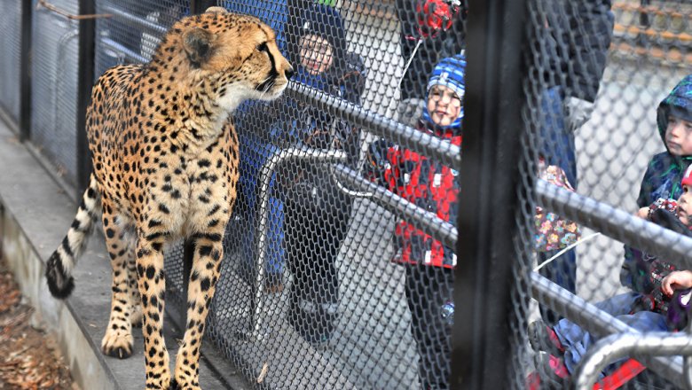 Зоопарк сделает скидку гостям с своеобразными фамилиями