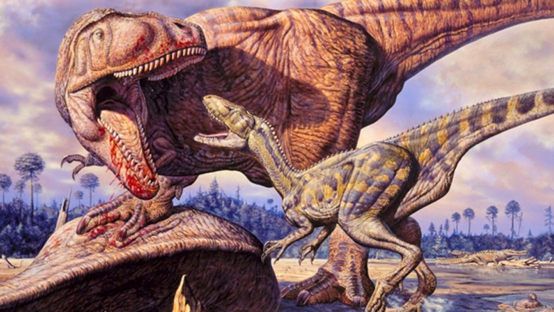 Топ-10 самых больших динозавров в мире | 15 марта 2022 - Новости Mail.ru