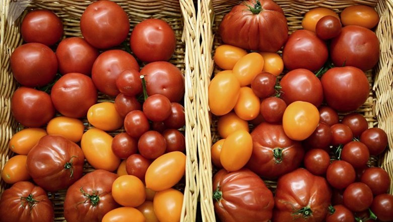 Россельхознадзор решил закончить реэскпорт томатов из Азии и Африки через республику Беларусь
