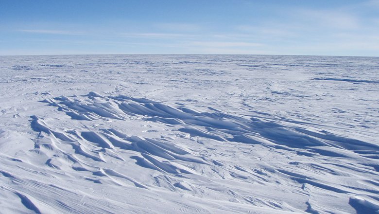 По данным ученых в Беринговом море скоро исчезнет лед