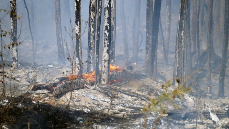 Что горит в бодайбинском районе. Смотреть фото Что горит в бодайбинском районе. Смотреть картинку Что горит в бодайбинском районе. Картинка про Что горит в бодайбинском районе. Фото Что горит в бодайбинском районе